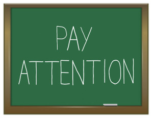 Anytime debris or animals or birds impede air flow in your chimney...draft is compromised. 