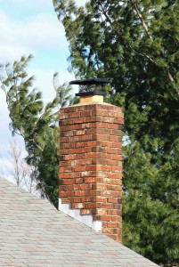 Make Sure to Avoid Limbs Over Chimneys- Shreveport, LA- New Buck Chimney Serices-w800-h800